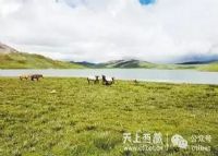 西藏嘉乃玉错国家湿地公园