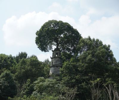 望城惜字塔