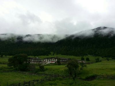 鲁朗花海牧场