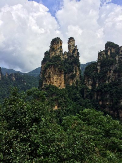 卧龙岭