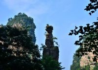 张家界武陵源金鸡报晓