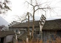 苦竹寨