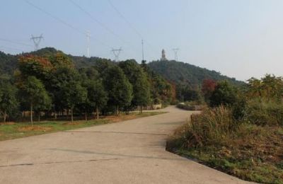 太阳山森林公园