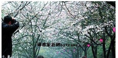 湖南省森林植物园