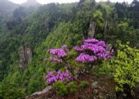 张家界清风峡