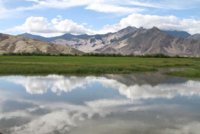 杰德秀湿地