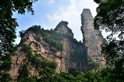 神鹰护鞭