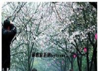 湖南省森林植物园