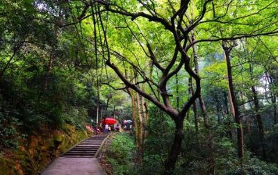 宁乡迴龙山