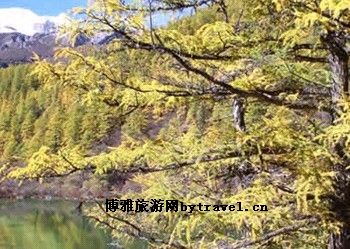 卓玛峡谷