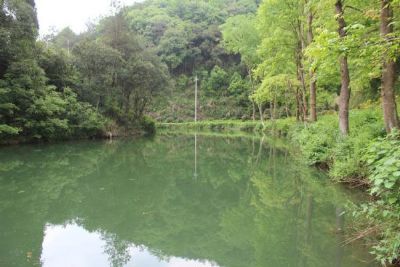 大山冲森林公园