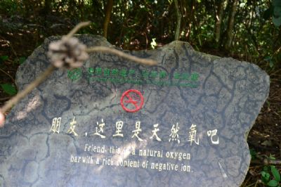 大氧吧广场