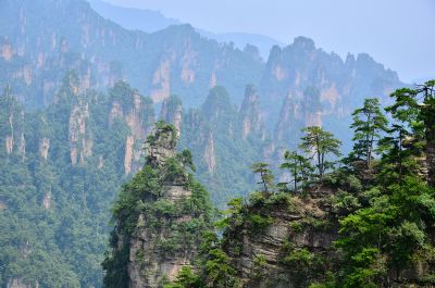 茶盘塌