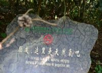 大氧吧广场