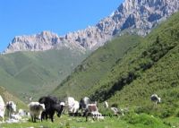 马牙山