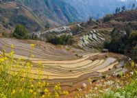 元阳牛角寨景区