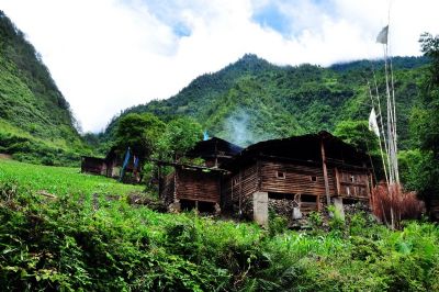 雾里村