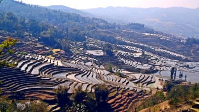 麻栗寨梯田