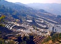 麻栗寨梯田