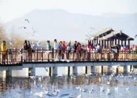 异龙湖国家湿地公园
