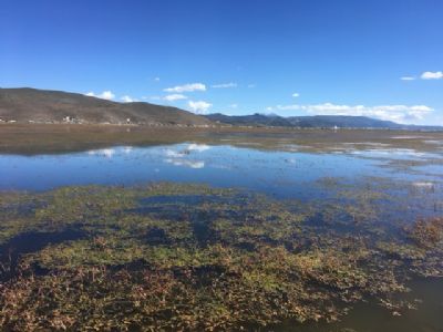 香格里拉纳岶海依拉草原
