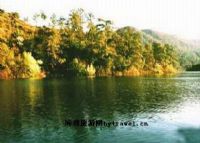 灵芝湖森林公园