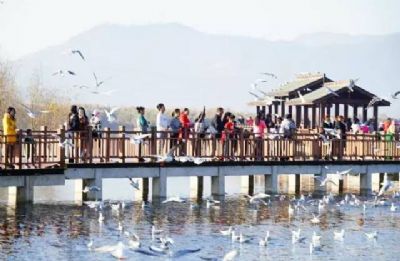 异龙湖国家湿地公园