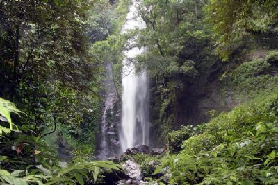 莫里热带雨林景区（扎朵热带雨林风景区）