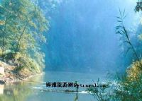 打洛江风光