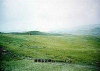 奎香雨龙山