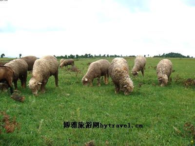 万亩草山