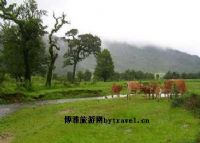 诗蜜娃底(黄草坝)