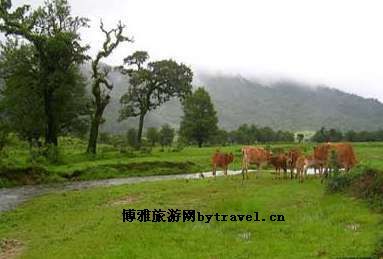 诗蜜娃底(黄草坝)