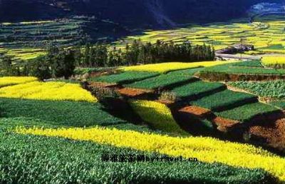 哀牢山风景区