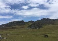 开远大黑山