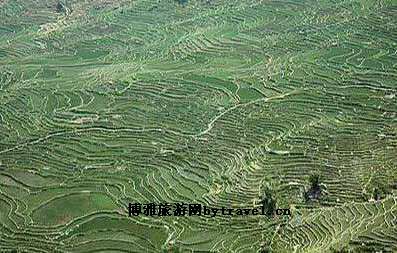 宝华撒玛坝万亩梯田