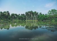 勐仑热带植物园