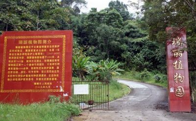 瑞丽植物园