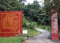 瑞丽植物园