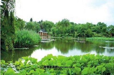 映月潭水体中心