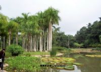 西双版纳热带植物园