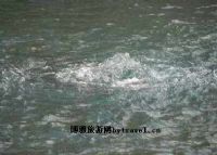 西沙印月泉