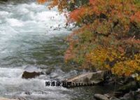 西畴鸡冠山森林公园