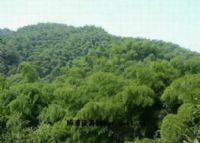 海子坪自然保护区