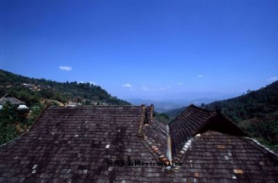 南糯山