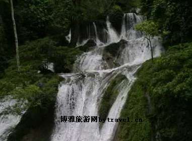花鱼洞国家森林公园