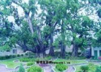 松山公园