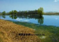 沿江湿地