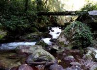 百花岭生态旅游区