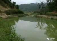 纳龙湖水利风景区
